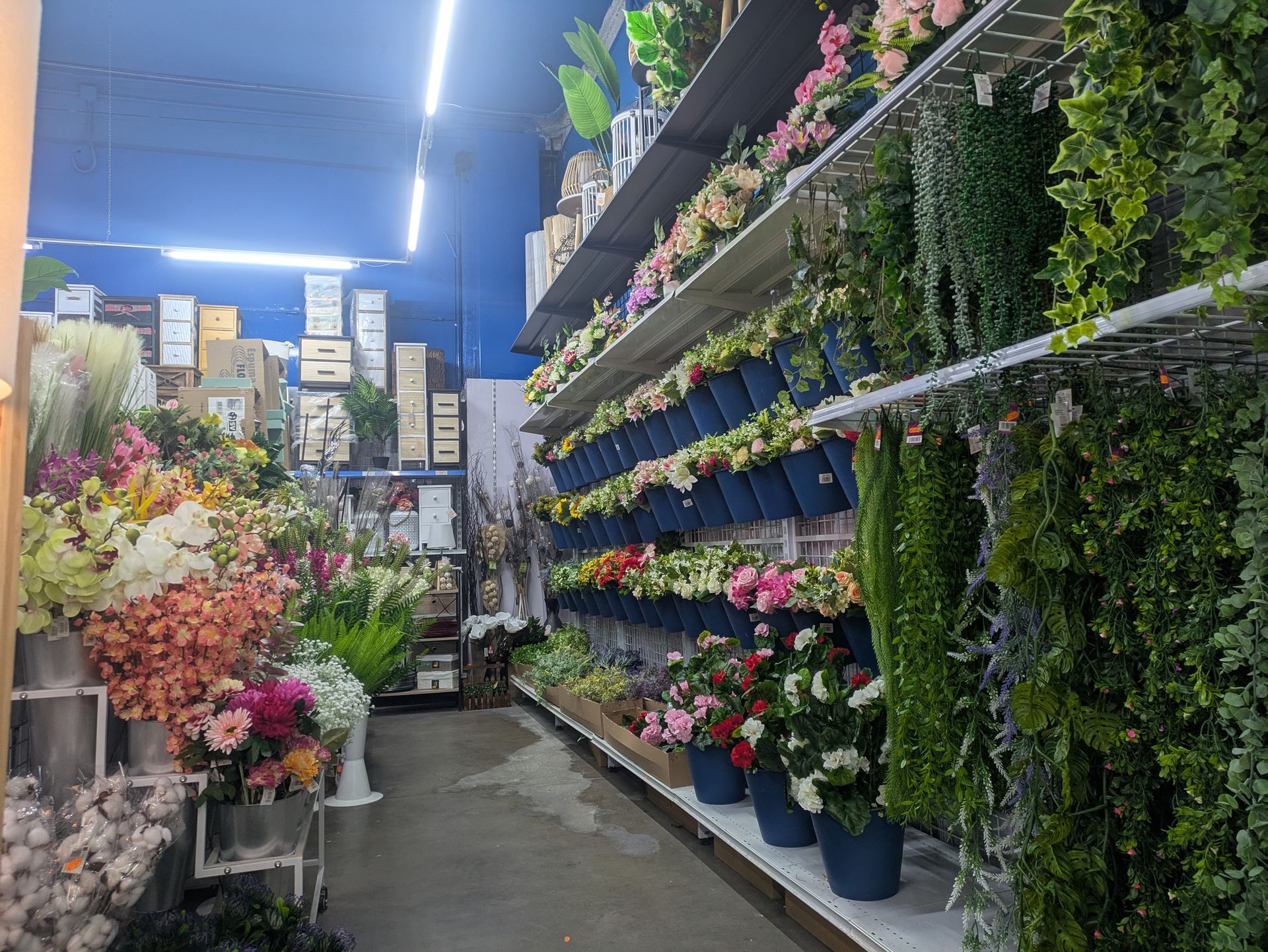 Una tienda llena de flores y plantas.