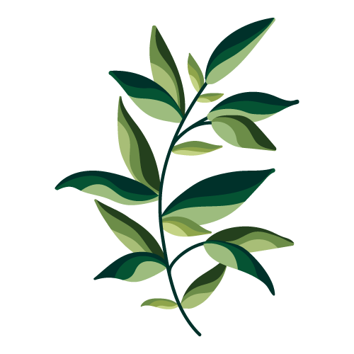 Professionelle Gartenpflege & Galabau | Zarov GmbH in Köln