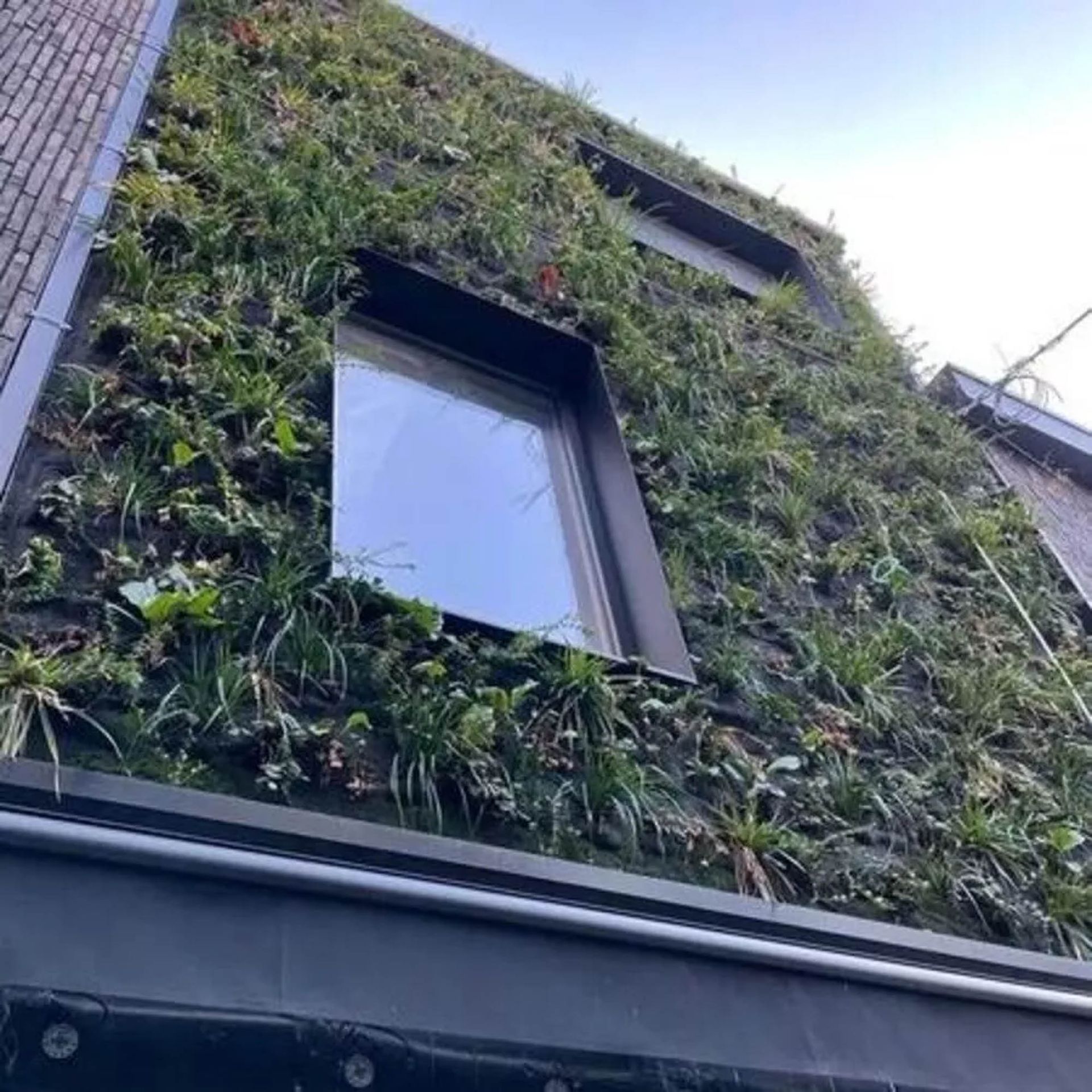 Professionelle Gartenpflege & Galabau | Zarov GmbH | Referenzen