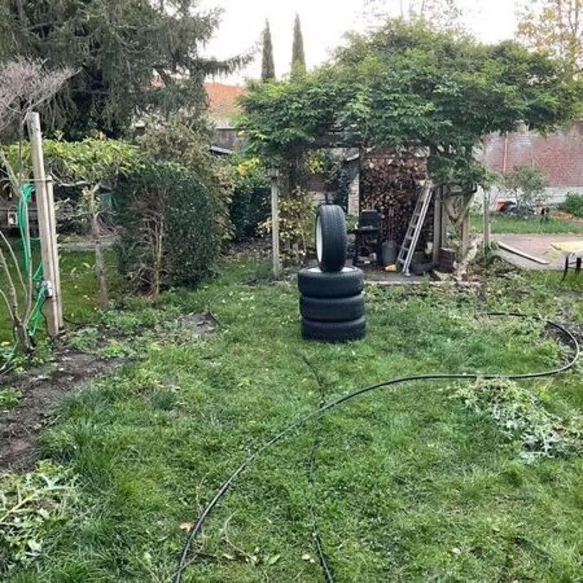 Professionelle Gartenpflege & Galabau | Zarov GmbH | Referenzen