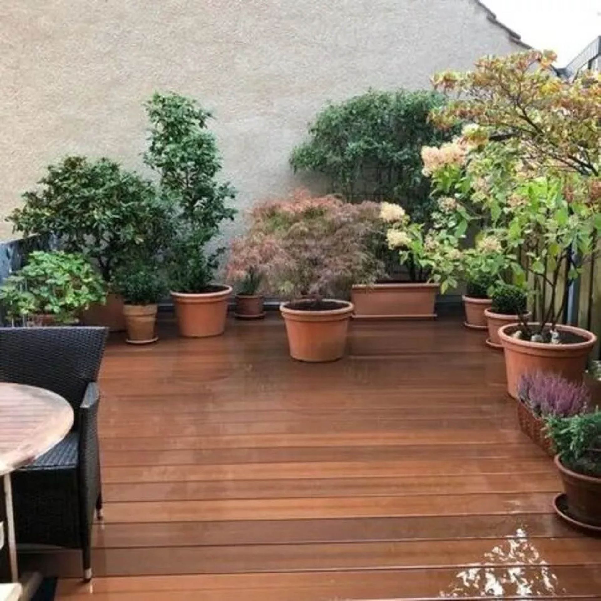 Professionelle Gartenpflege & Galabau | Zarov GmbH | Referenzen