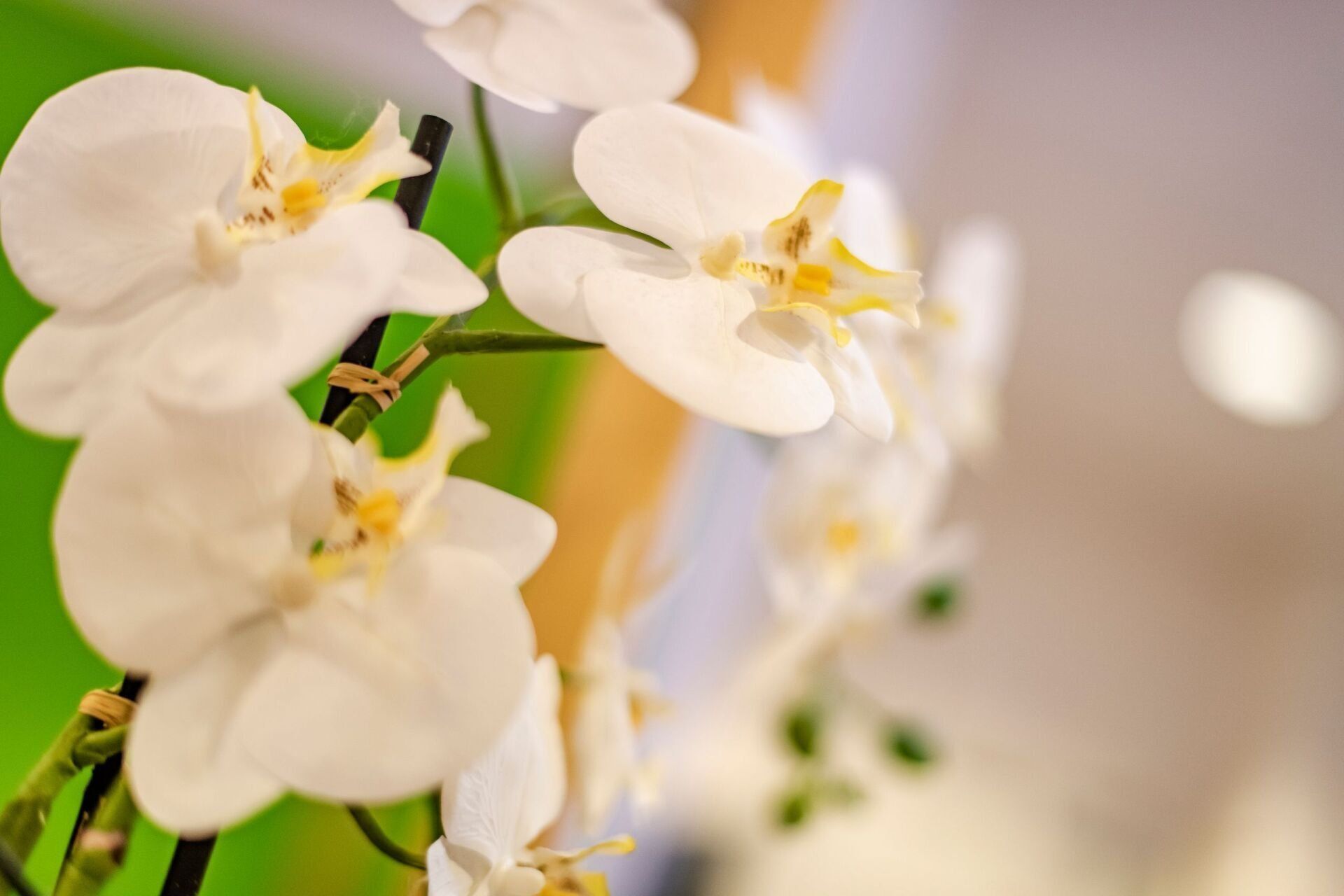 Koder Matthias Daniela Koder Praxis für Physiotherapie