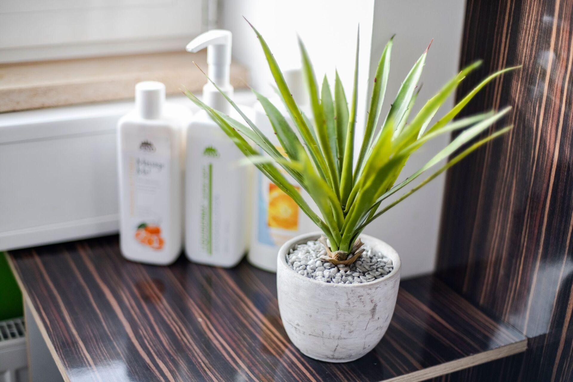 Koder Matthias Daniela Koder Praxis für Physiotherapie