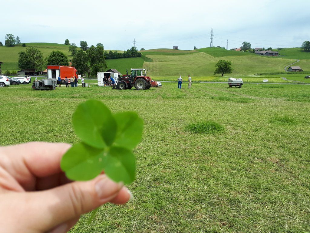 Musikgesellschaft Blumenstein