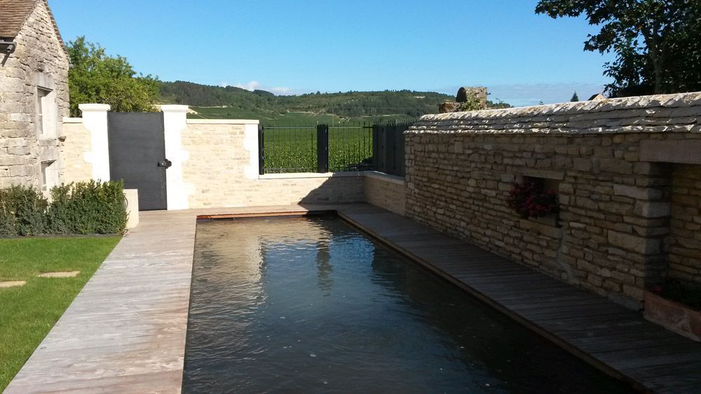 Jardin avec piscine foncée