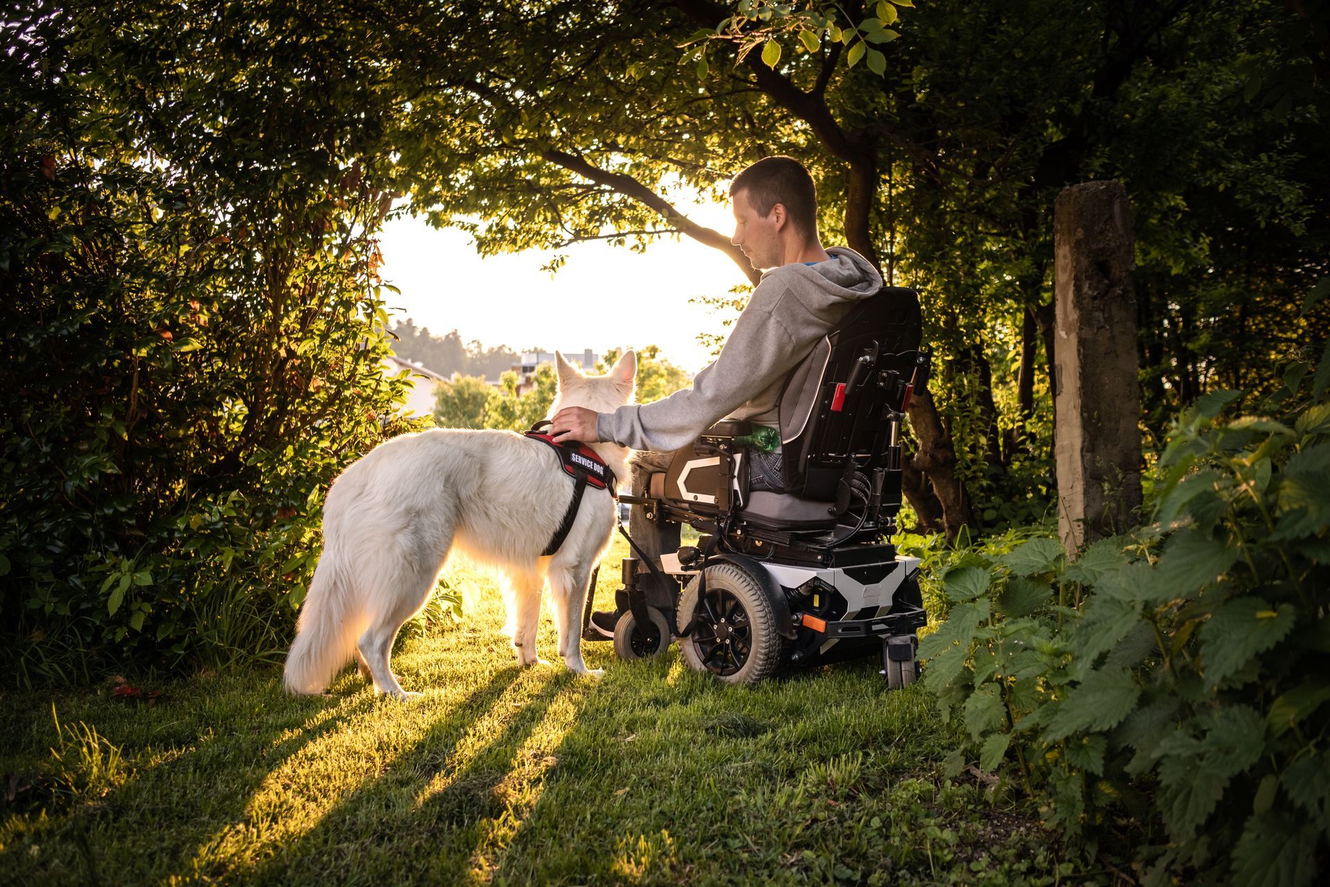 Un homme en fauteuil électrique avec son chien