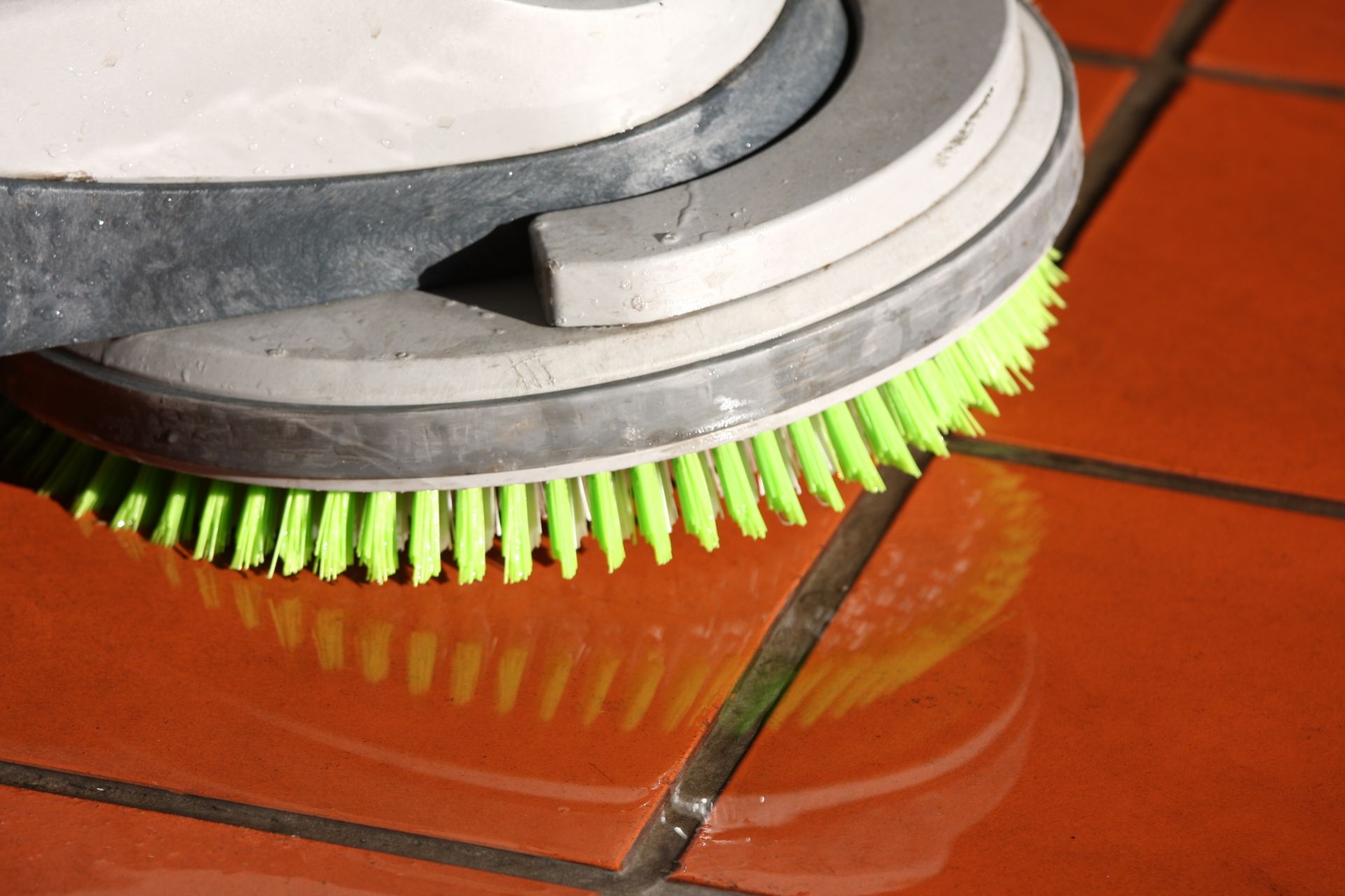 Nettoyage avec monobrosse