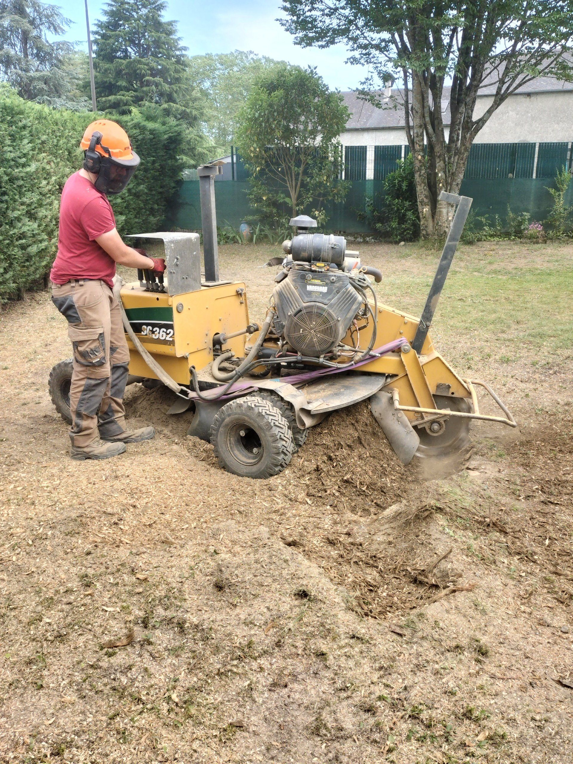 Dessouchage, rognage et rabattage