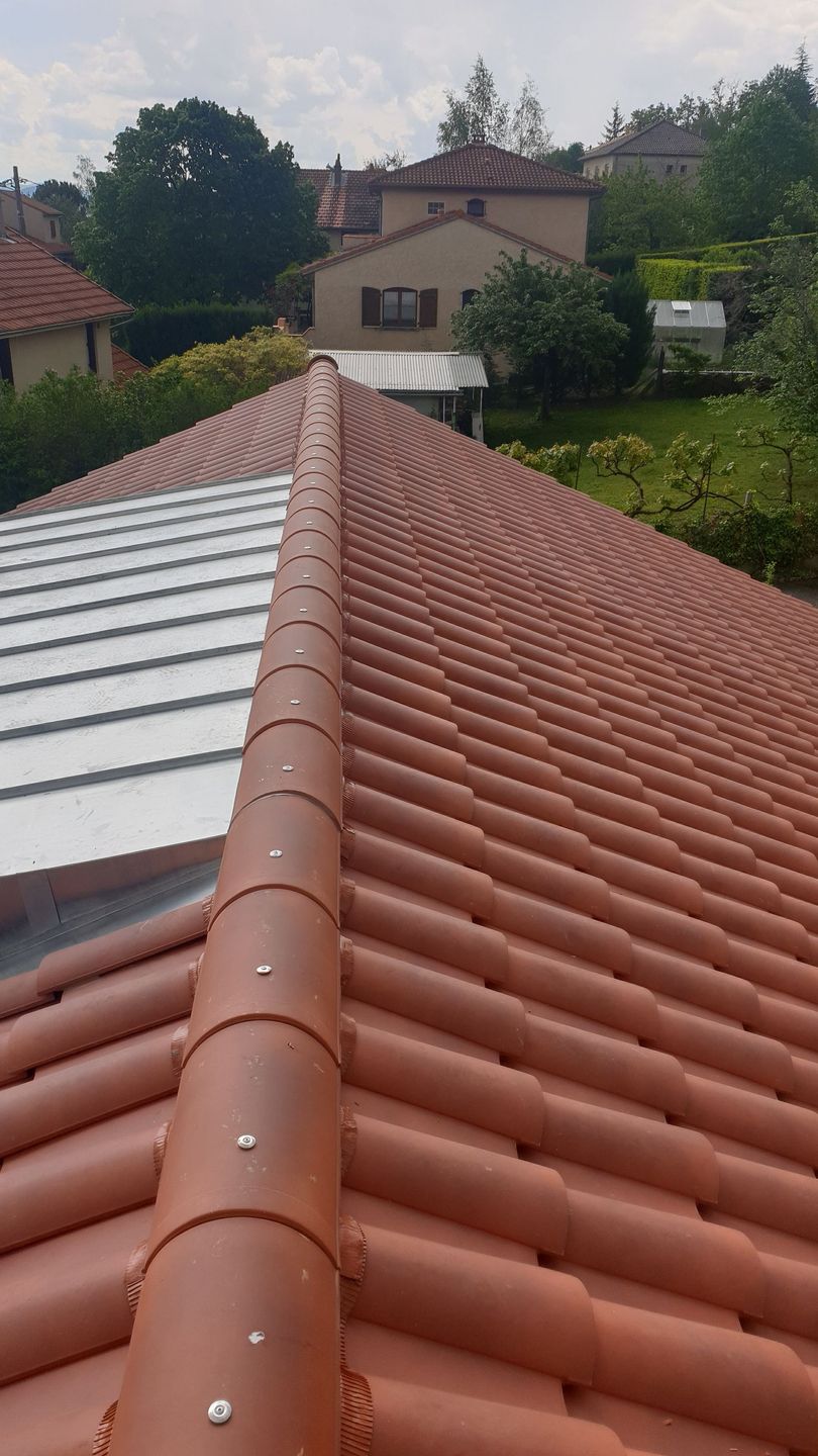 Vue depuis un toit-terrasse aux tuiles de terre cuite rouge, donnant sur des maisons et des arbres.