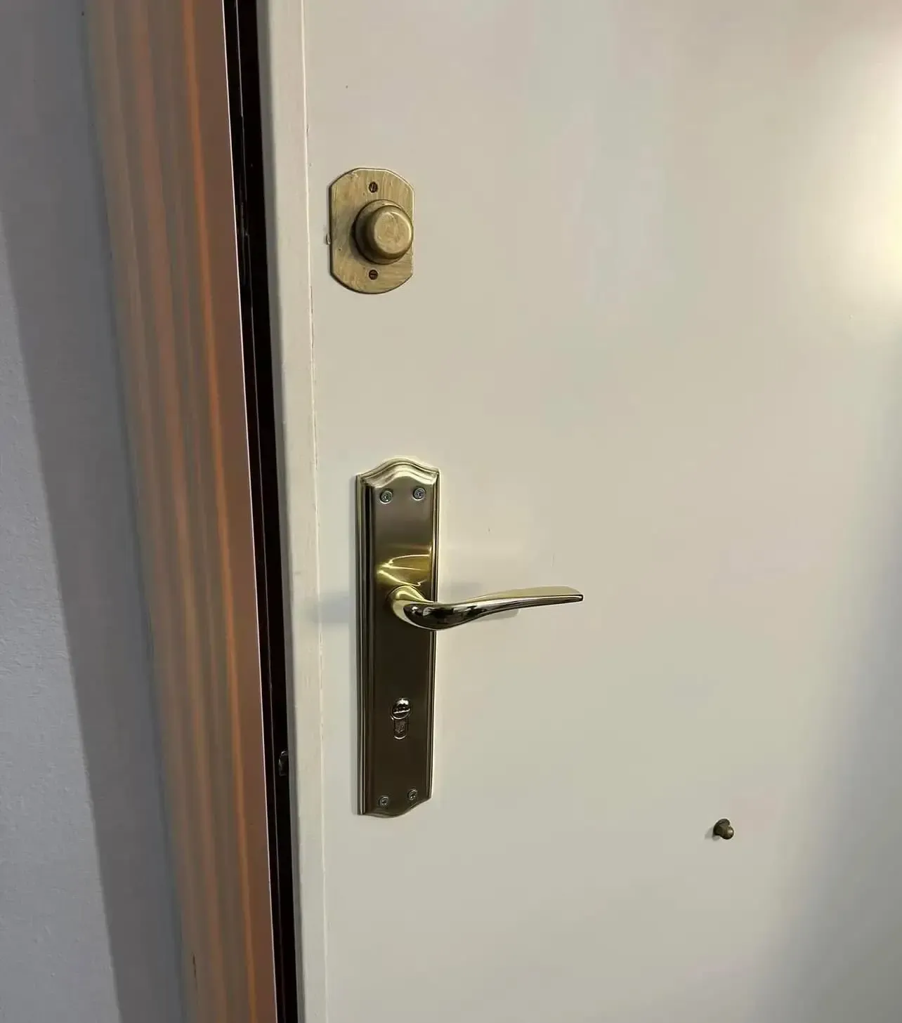 Puerta blanca con tirador y timbre de color dorado.