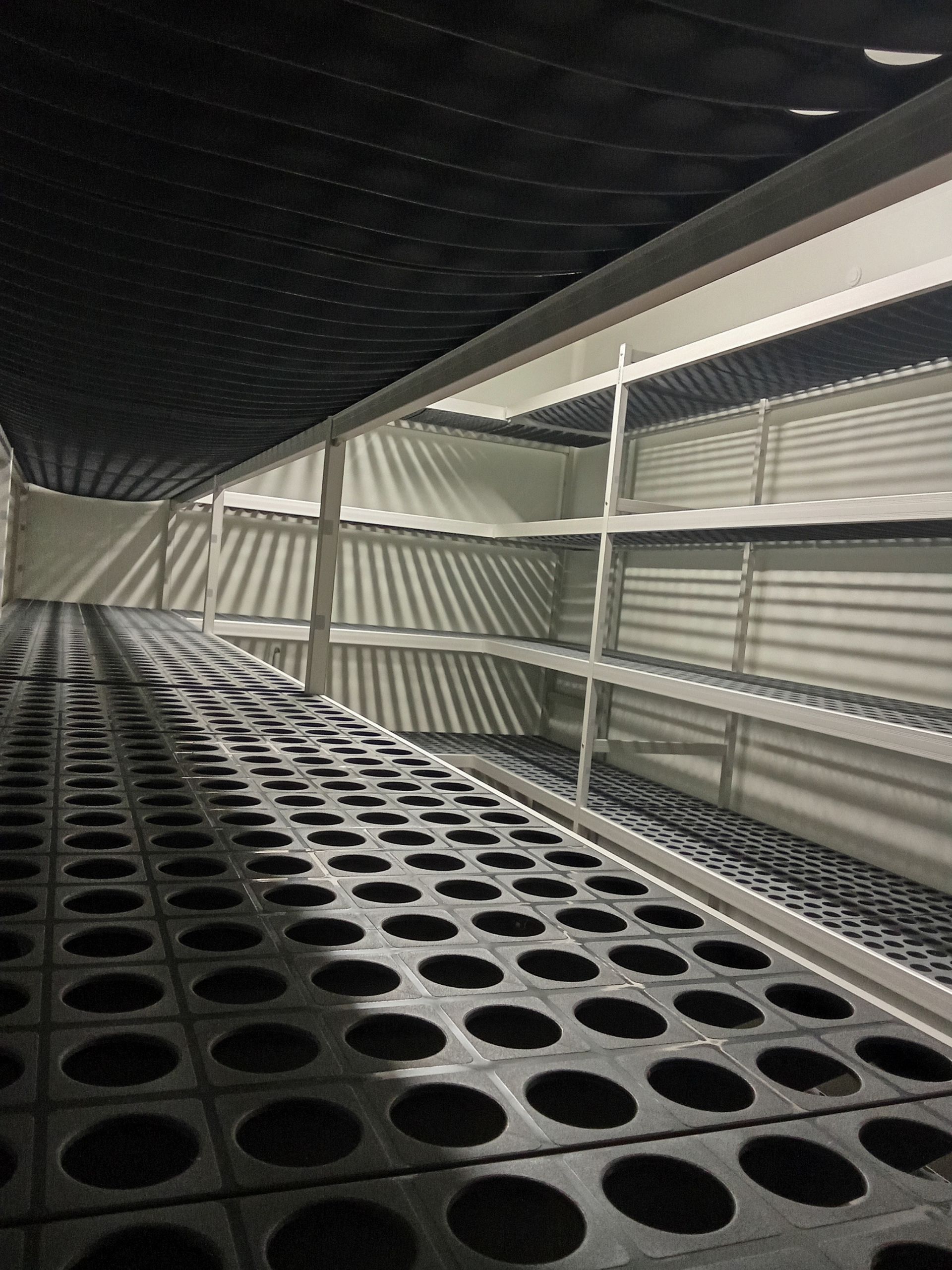 Des étagères de rangement vides, avec des tapis foncés à motifs circulaires, posées sur des supports métalliques blancs, se trouvent dans une pièce.