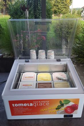 Thermobox der tomela glace mit 6 verschiedenen Eissorten