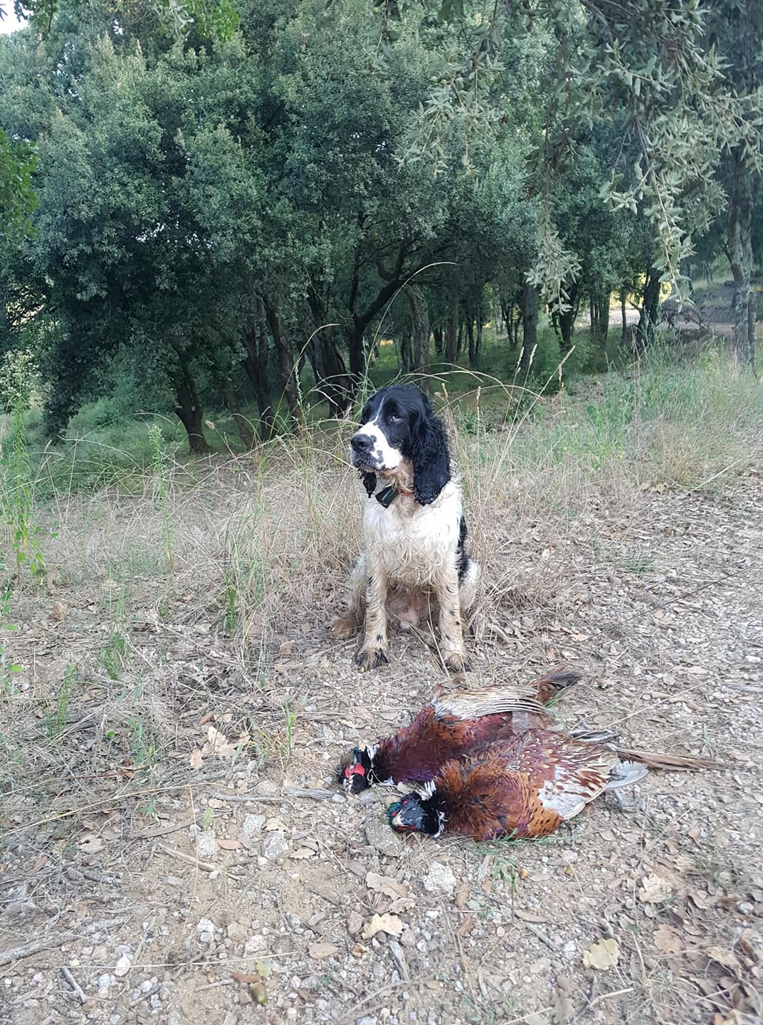 Junior ouverture 2018