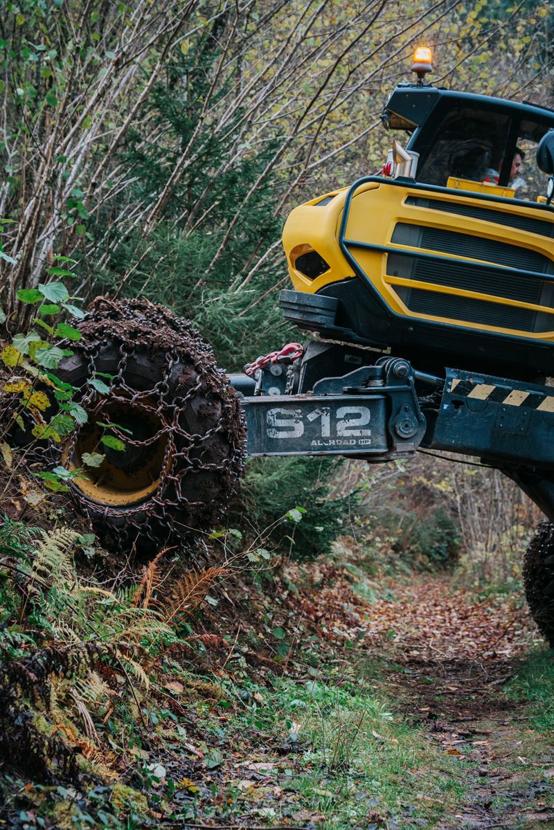 Ein gelb-schwarzer Traktor fährt einen Feldweg im Wald entlang.