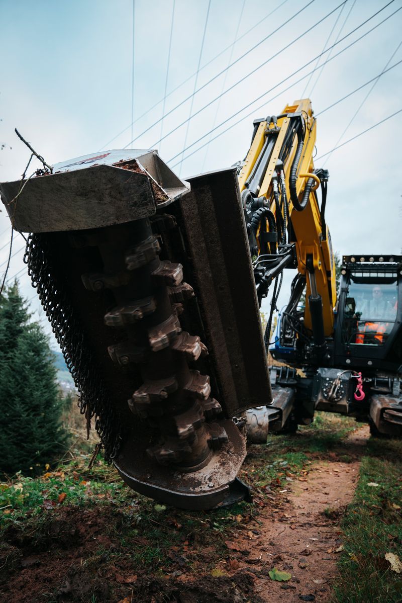 Ein gelber Bagger fällt auf einem Feld einen Baum.