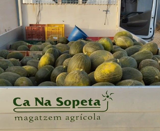 La caja de un camión llena de melones verdes y amarillos, con cajas y un cubo azul. En el lateral del camión se lee