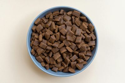 Comida para perros en un tazón azul sobre una superficie color crema. La croqueta es marrón y parece seca.