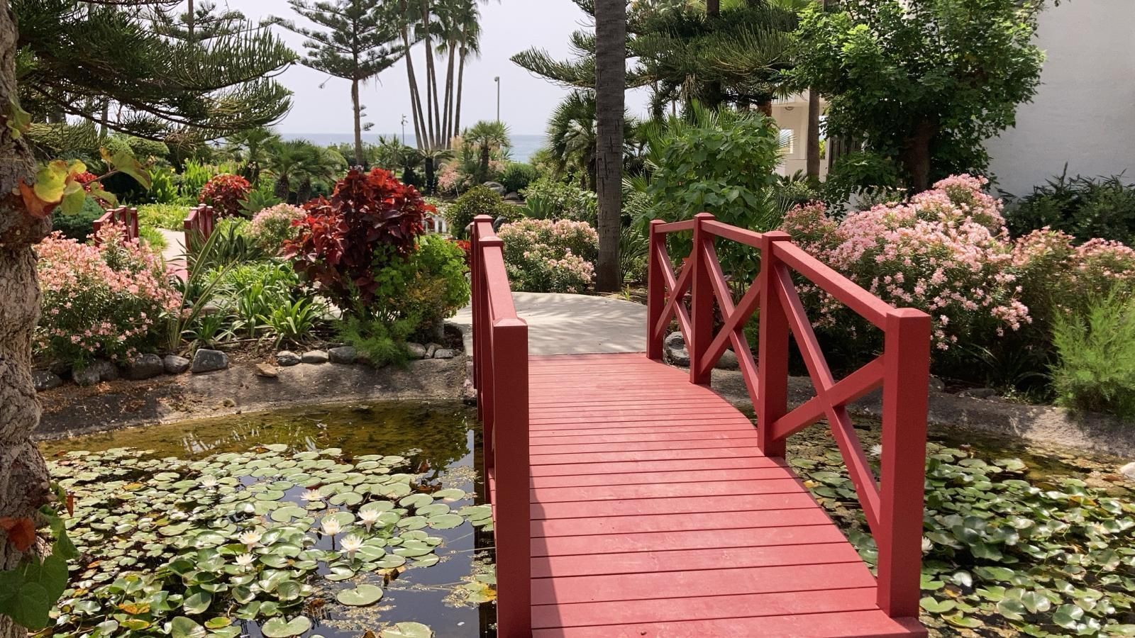 Puente de madera roja sobre un estanque con nenúfares, rodeado de un exuberante jardín con plantas coloridas y vista al océano.