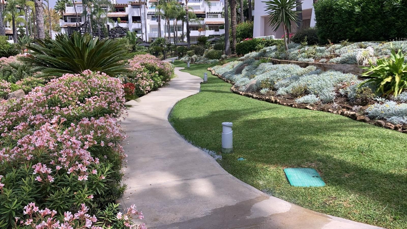 Camino de hormigón sinuoso a través de un jardín paisajístico con flores de colores, césped y edificios bajos al fondo.