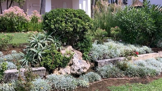 Jardín paisajístico con muros de contención de piedra y diversas plantas verdes y grises.