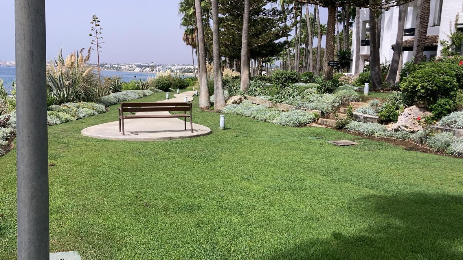 Un parque con un banco, césped verde exuberante y una vista del agua en un día soleado.