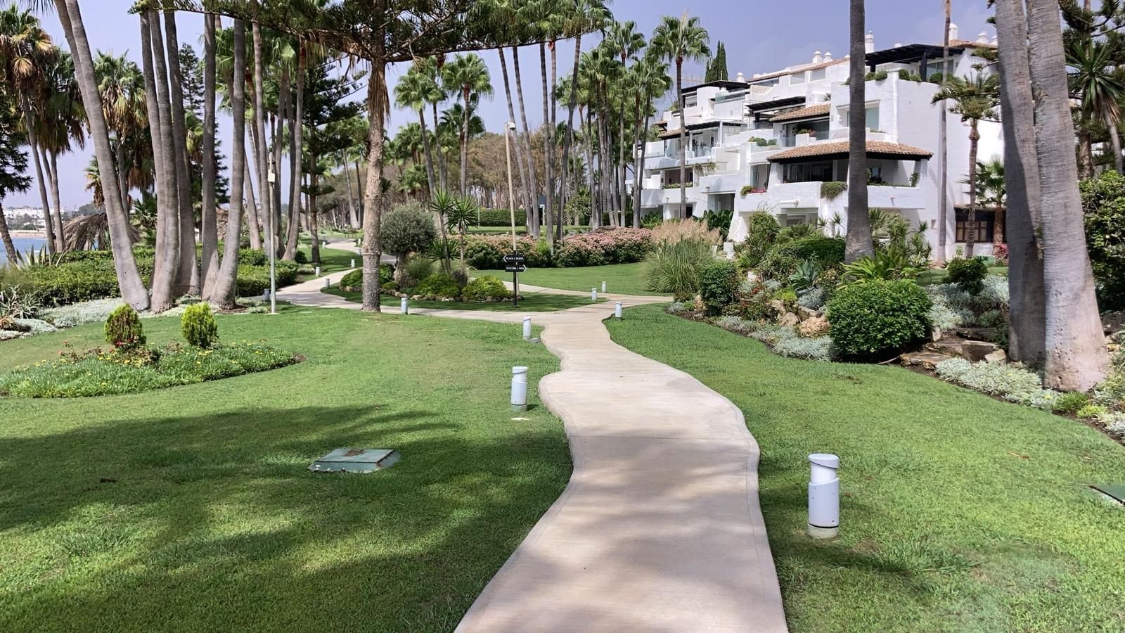Camino de hormigón a través de un césped verde y un jardín hacia un edificio blanco, altas palmeras.