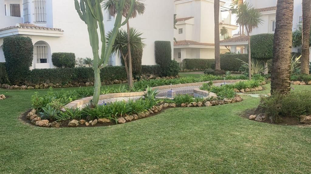 Césped verde exuberante con un jardín paisajístico con arbustos, cactus y palmeras frente a un edificio blanco.
