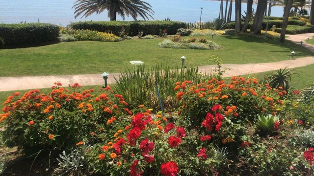 Exuberante jardín con flores naranjas y rojas, césped verde, un sendero para caminar y vista al mar.