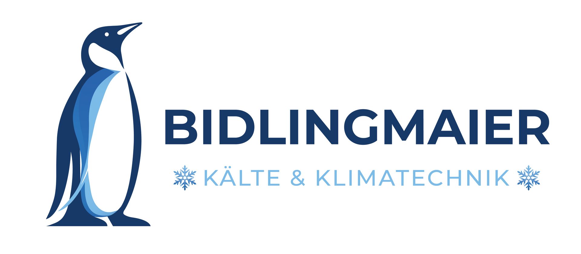 Bidlingmaier Kälte & Klimatechnik in Ötisheim Logo Bidlingmaier Kälte & Klimatechnik in Ötisheim Logo
