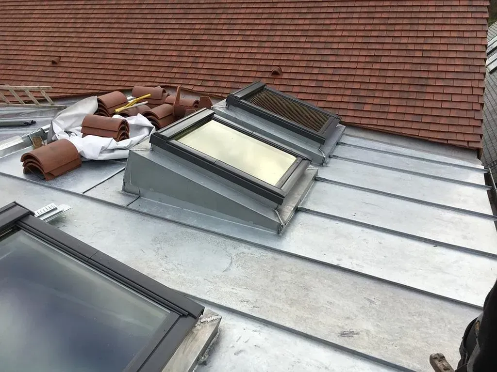 Deux fenêtres de toit.