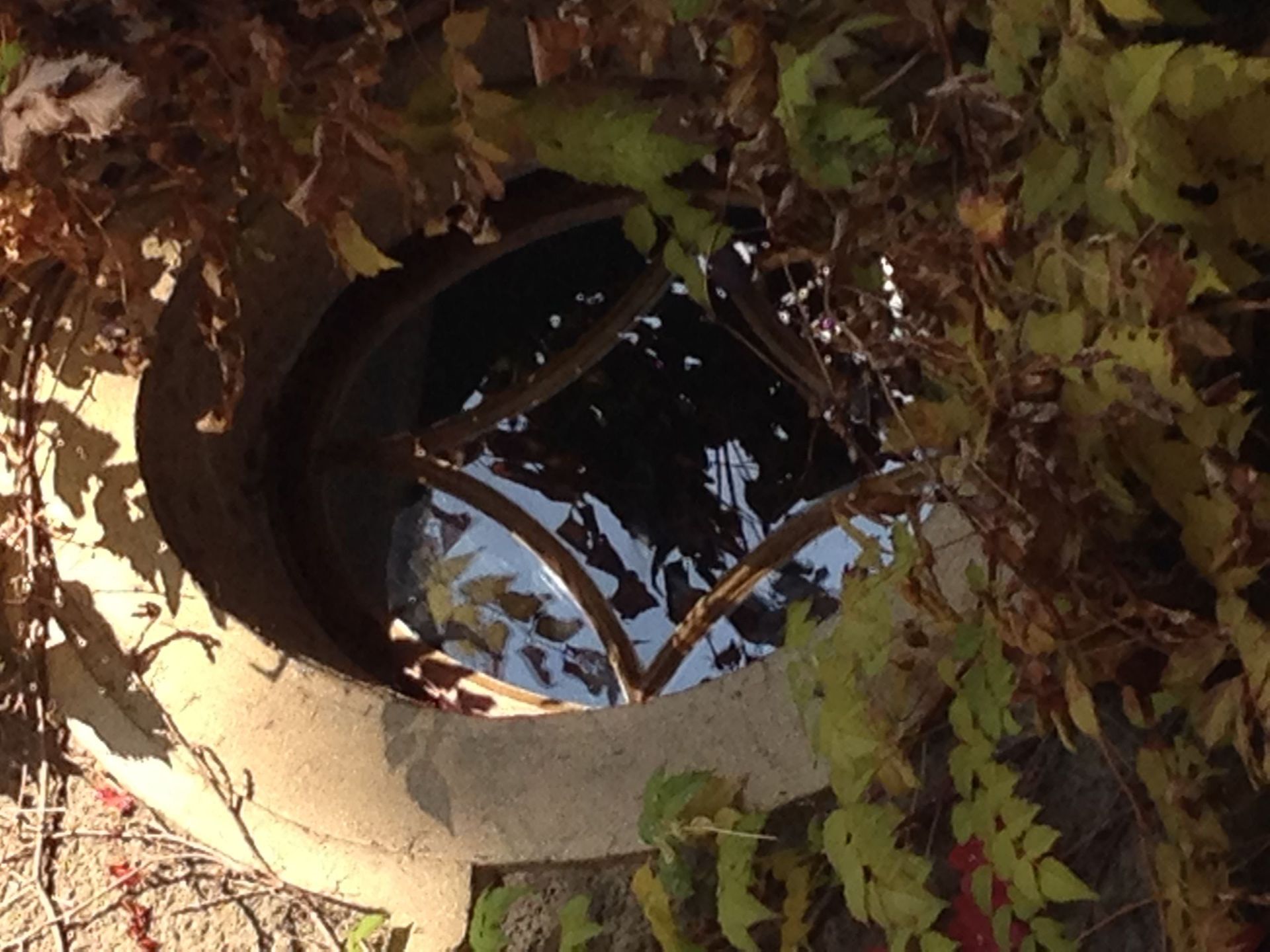 nos-realisations-en-images-leman-renovation-sa-satigny-geneve