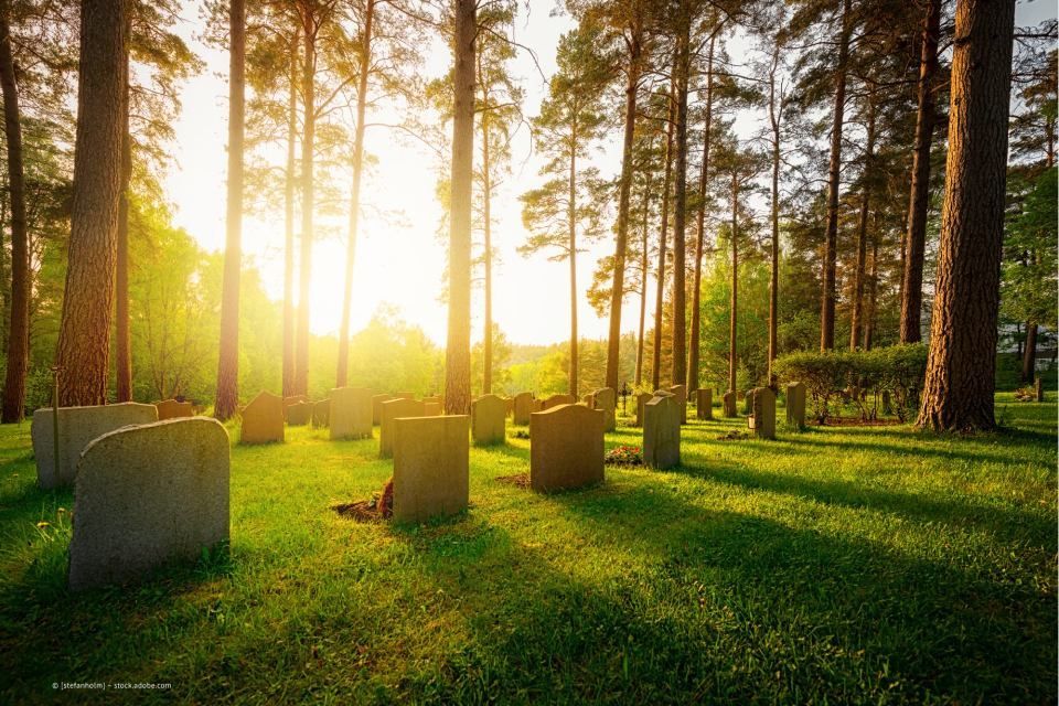 Friedhof im Wald, der vom Bestattungsinstitut Kästner betreut wird