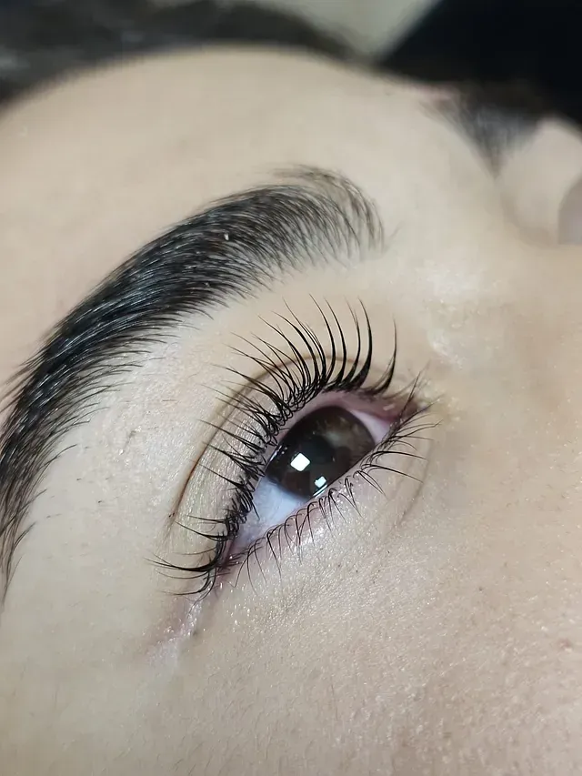 Un primer plano del ojo de una mujer con pestañas largas.