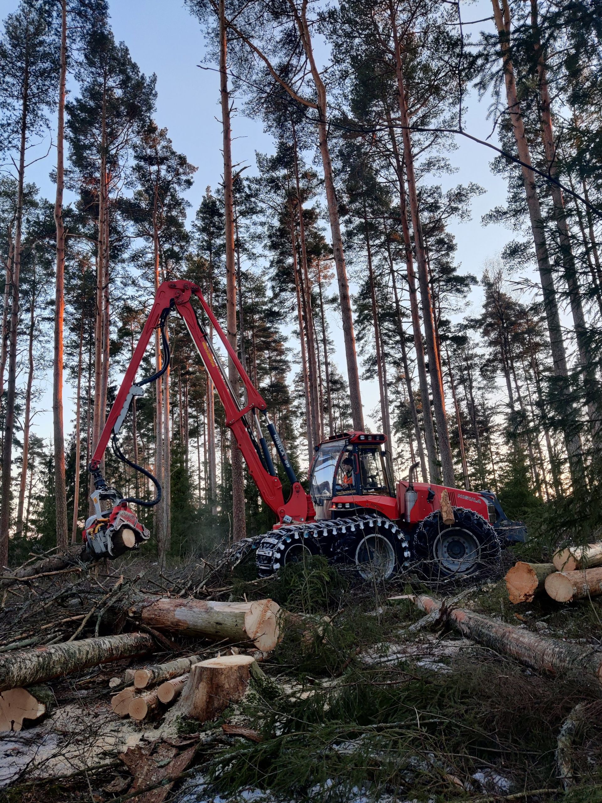 Luo Alt-tekstitunnisteet hakukoneoptimointia ja saavutettavuutta varten. 