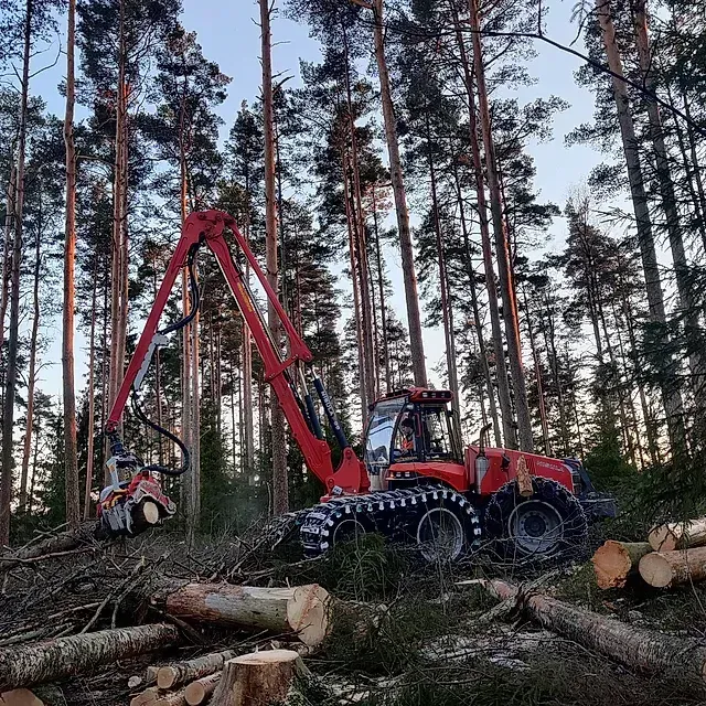 Luo Alt-tekstitunnisteet hakukoneoptimointia ja saavutettavuutta varten. 