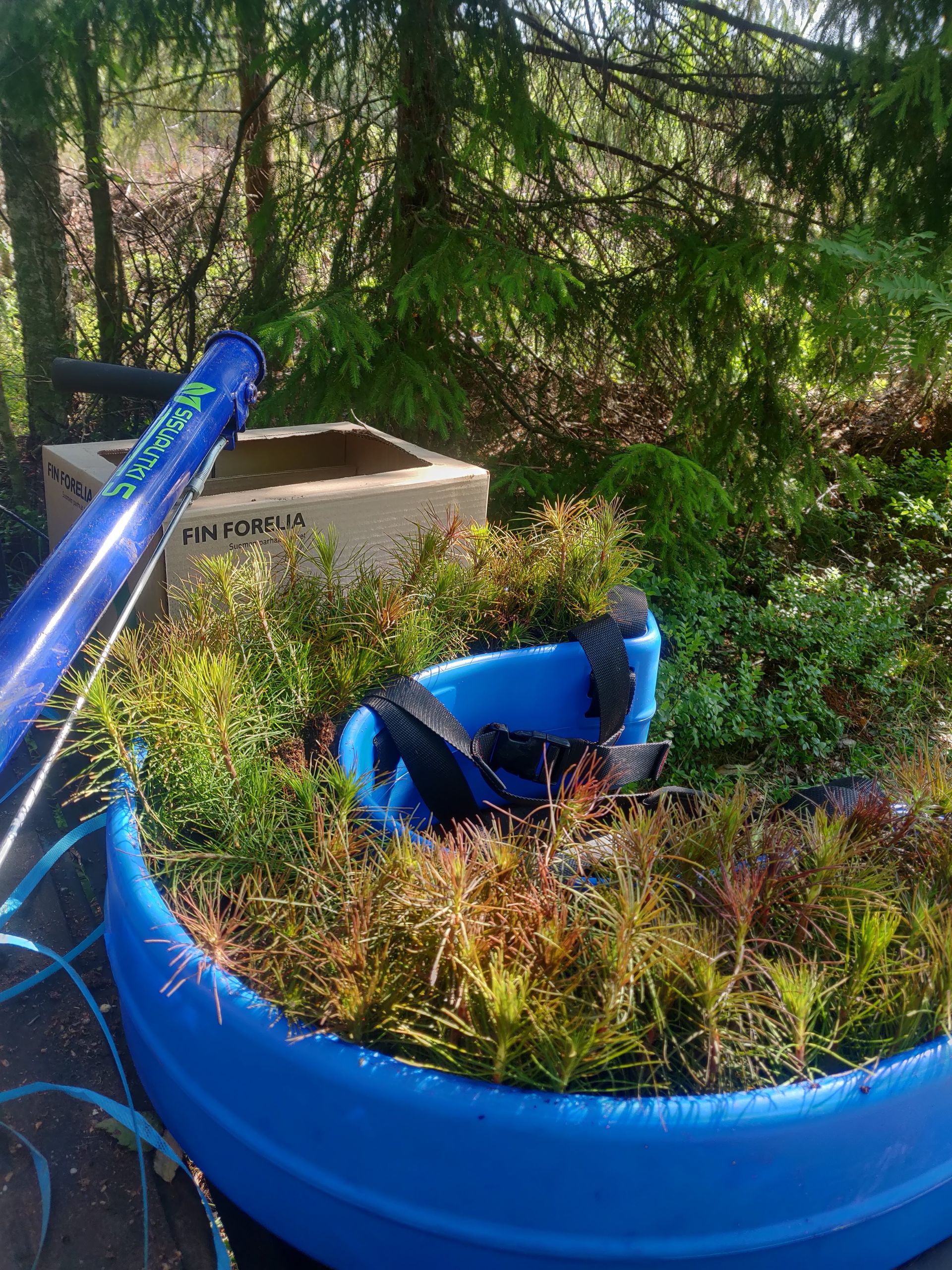 Luo Alt-tekstitunnisteet hakukoneoptimointia ja saavutettavuutta varten. 