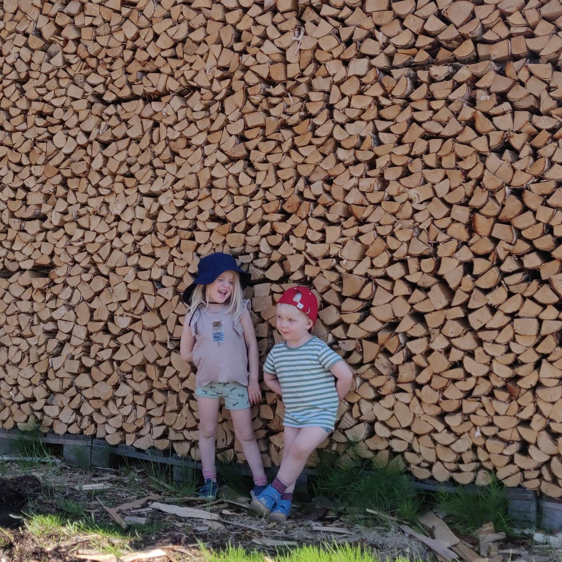 Luo Alt-tekstitunnisteet hakukoneoptimointia ja saavutettavuutta varten. 