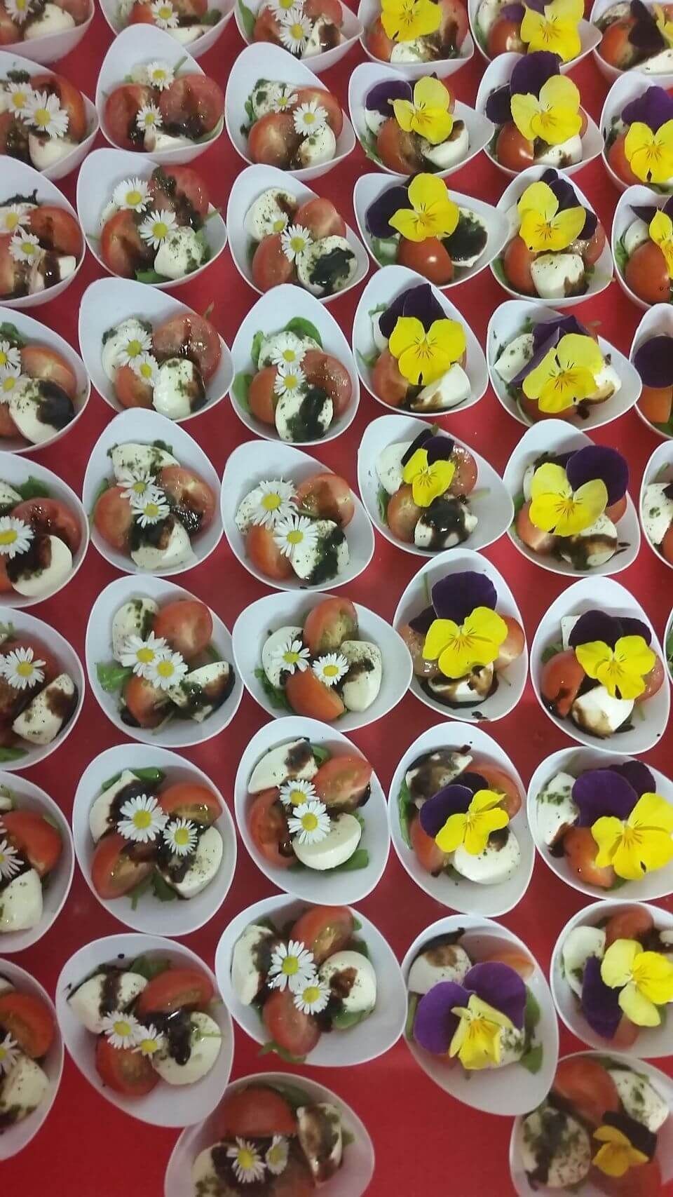 Partyservice Lorenz – Catering- und Party-Service