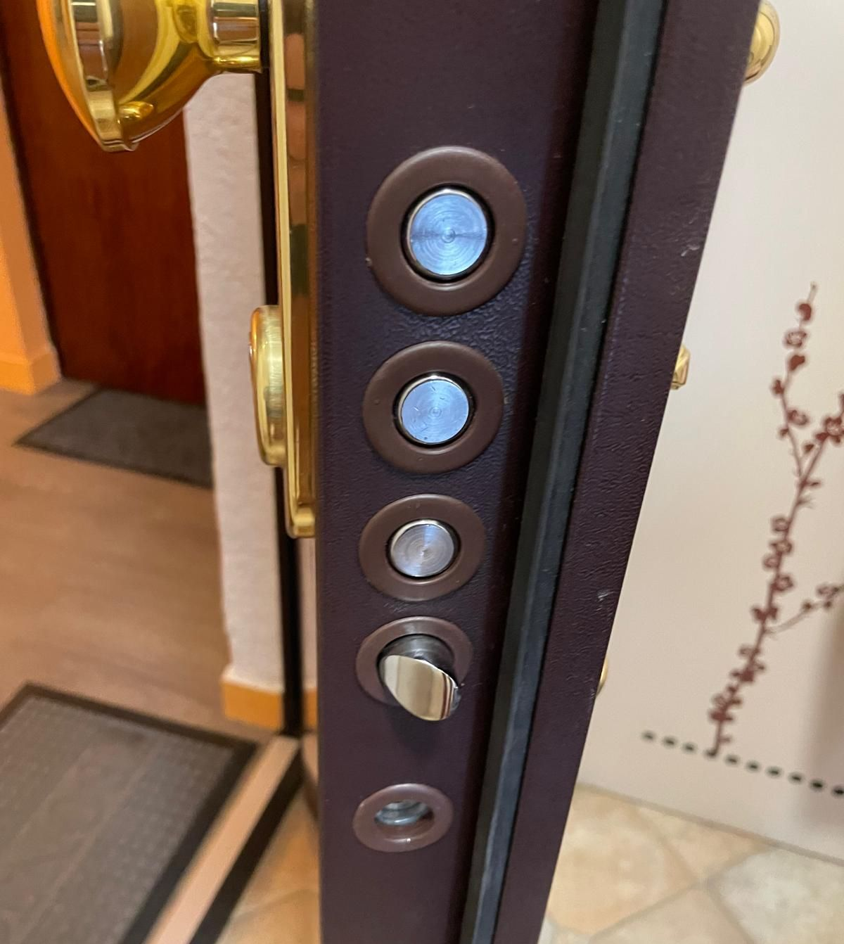 Porte de sécurité marron avec plusieurs verrous.