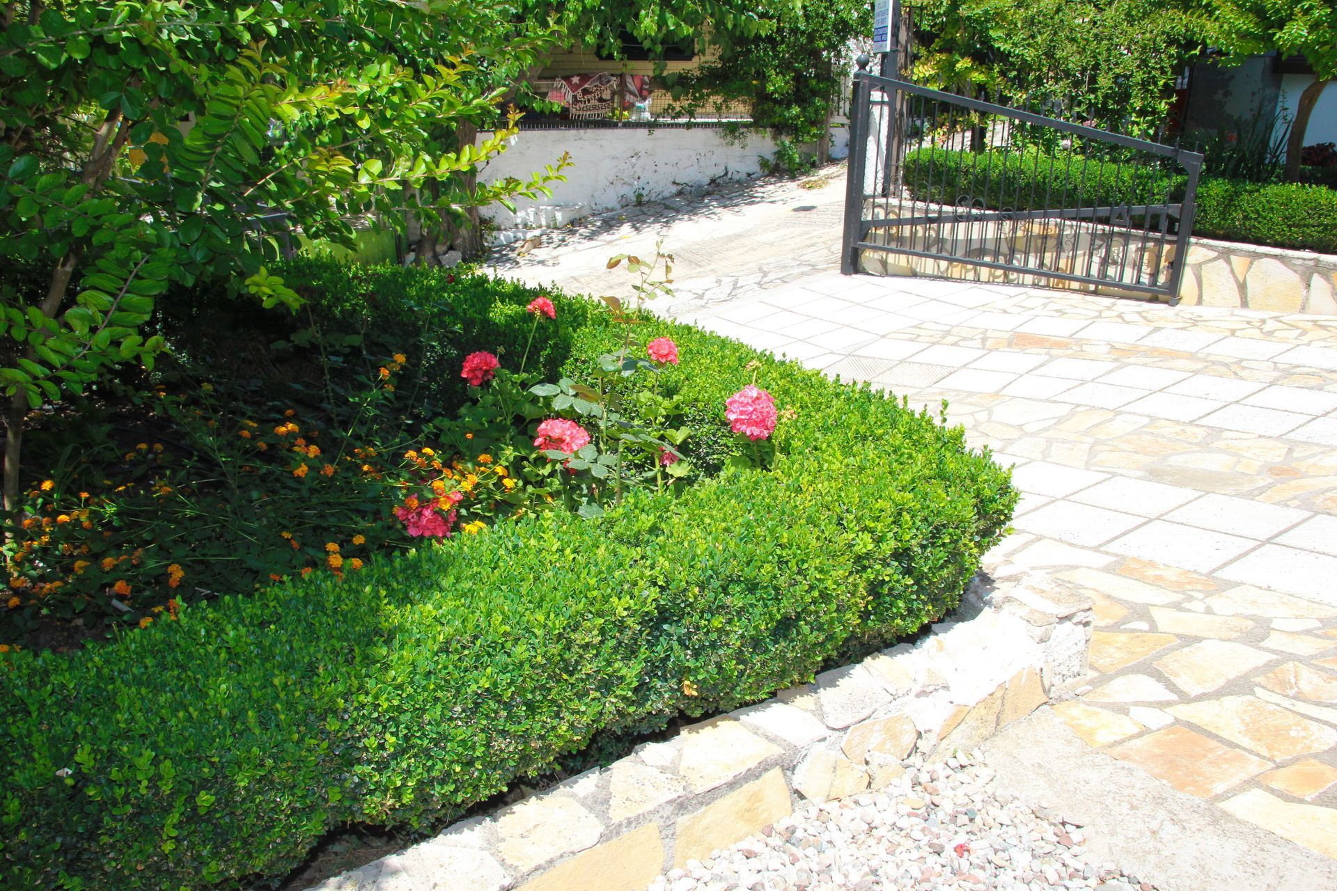 Πράσινος φράκτης με ροζ τριαντάφυλλα, δίπλα στο πέτρινο μονοπάτι και την ανοιχτή πύλη.