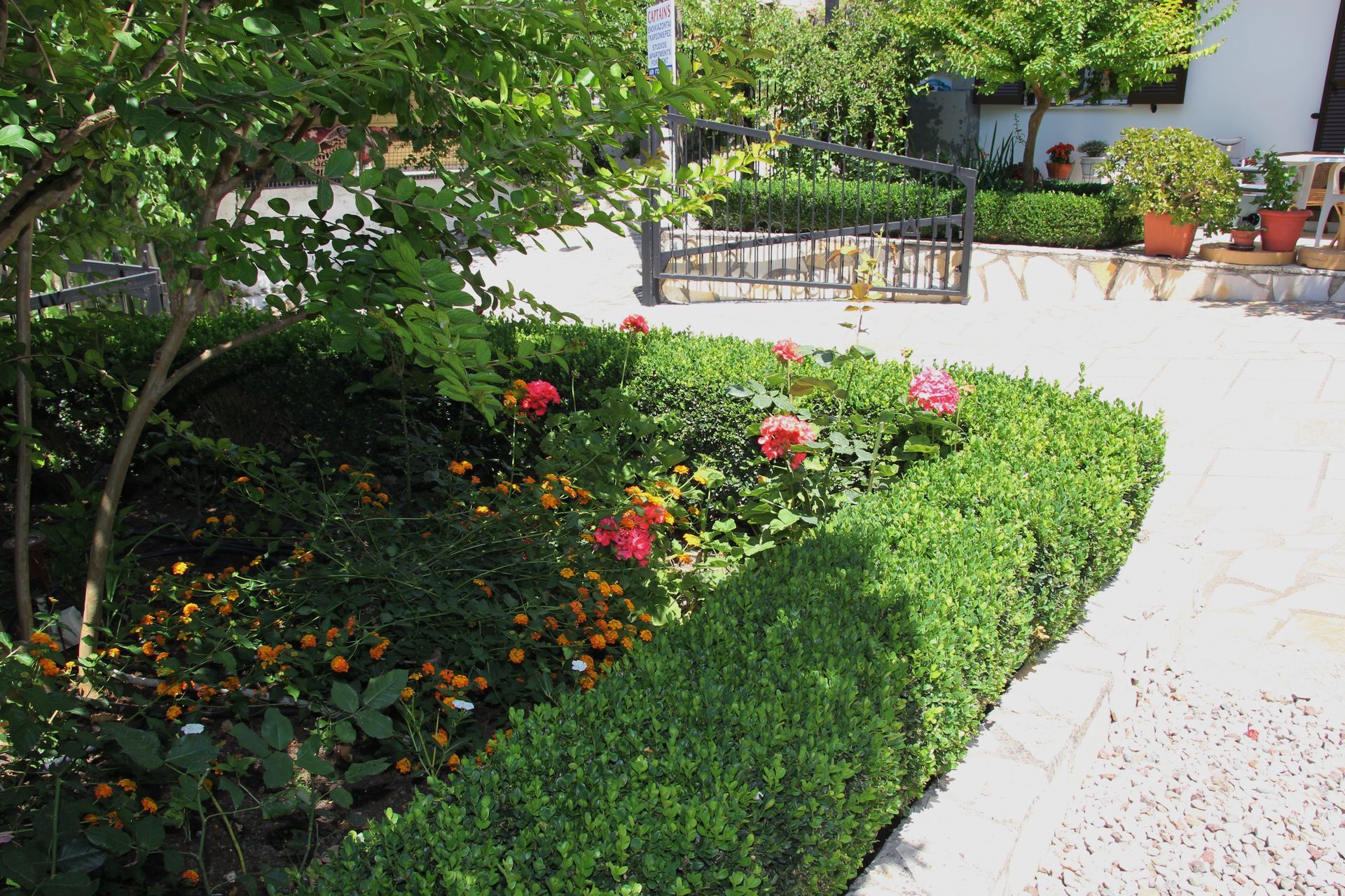 Καταπράσινο παρτέρι με τριαντάφυλλα και κομμένους φράχτες, δίπλα σε ένα πέτρινο μονοπάτι, κάτω από έναν ηλιόλουστο ουρανό.