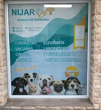 Una ventana con un cartel de perros y gatos.