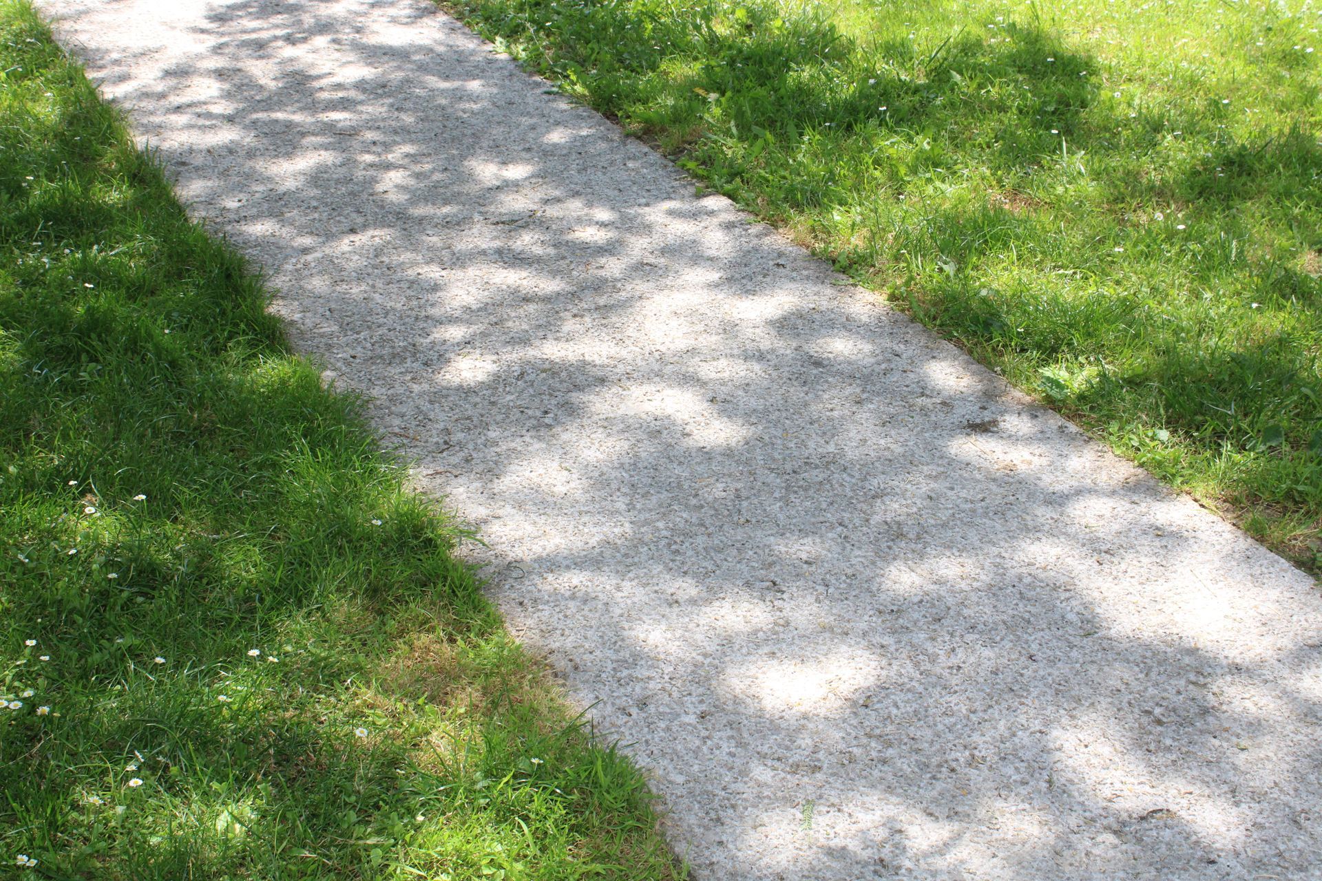 Une allée en béton désactivé dans un jardin.