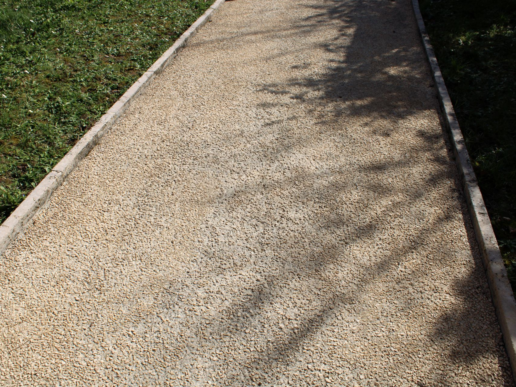 Une allée en béton désactivé beige dans un jardin.
