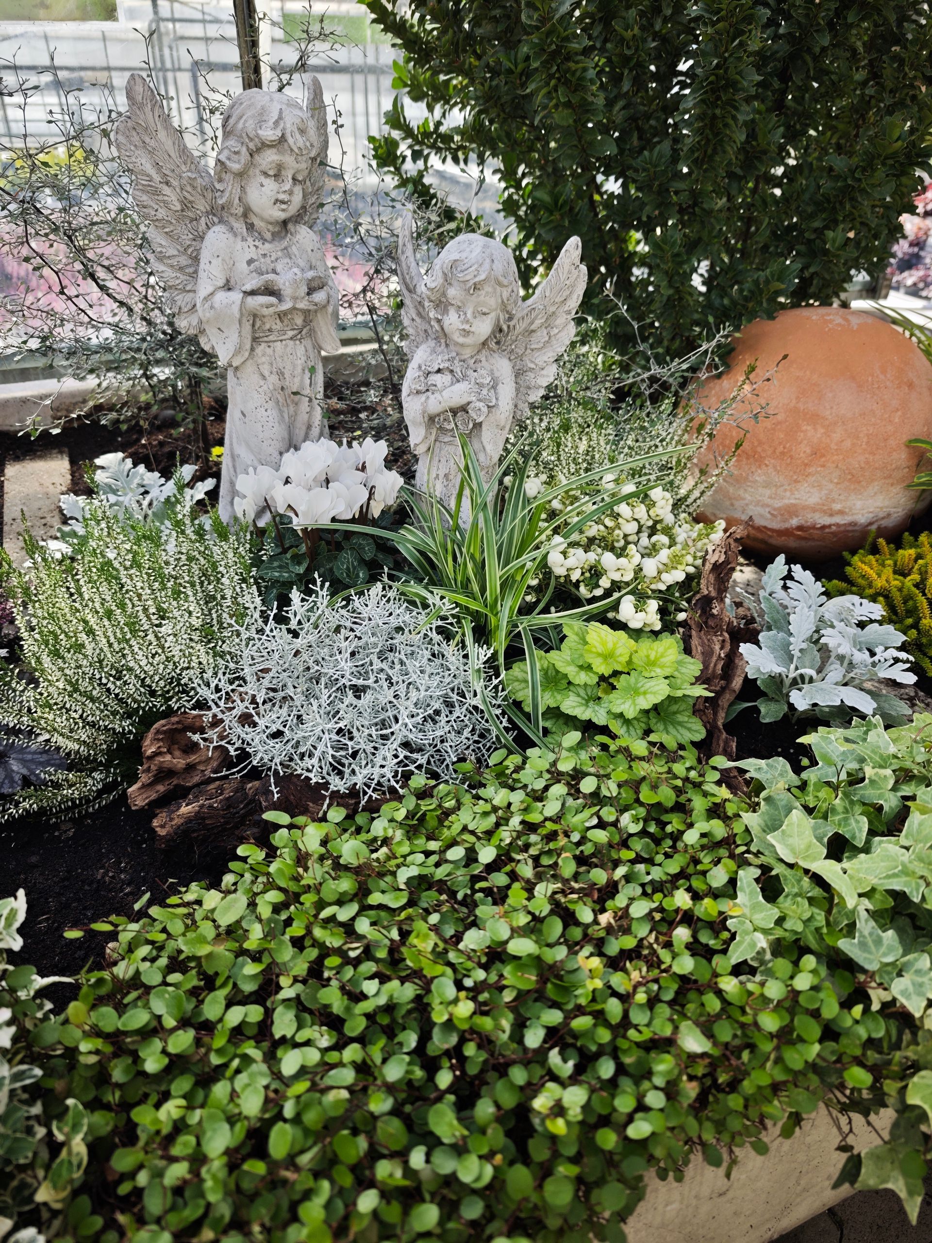 Ein Gartenbeet mit weißen Blüten, silbernem Laub und einer Engelsfigur neben einem Terrakottatopf