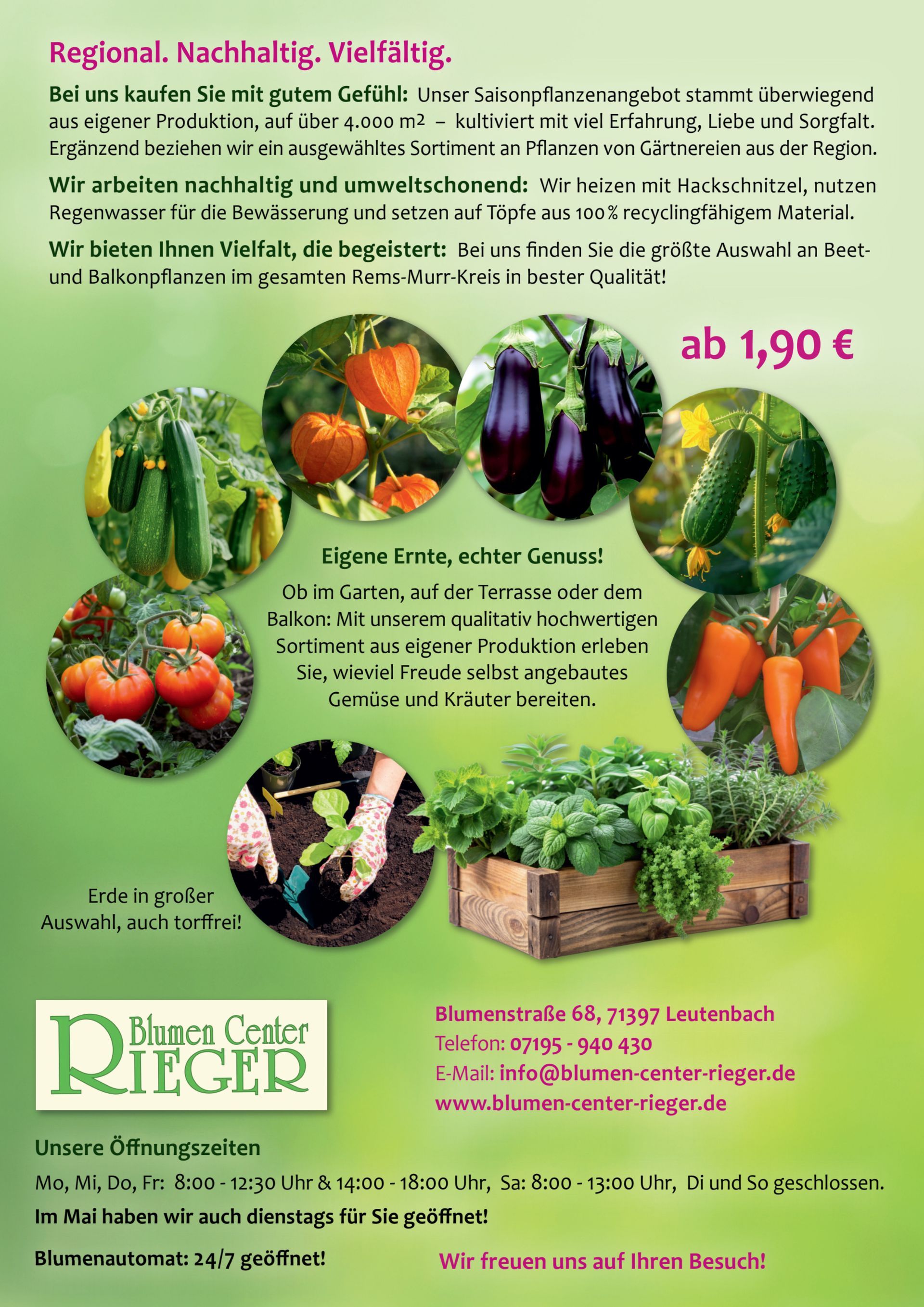 Flyer Sommersaison