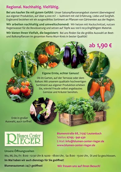 Werbung für grüne Produkte mit Gemüse und Obst, Preis „ab 1,90 €“ und Marktlogo
