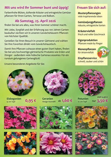 Flyer für einen Blumenverkauf mit farbenfrohen Frühlingsblüten und deutschem Text auf grünem Hintergrund