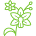Icon Blume