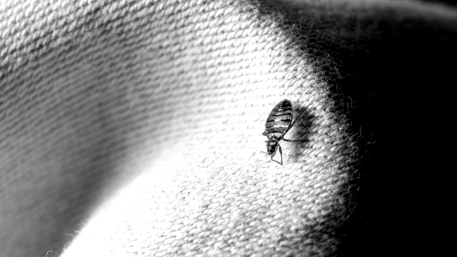 Vers la page Pagny-sur-Moselle